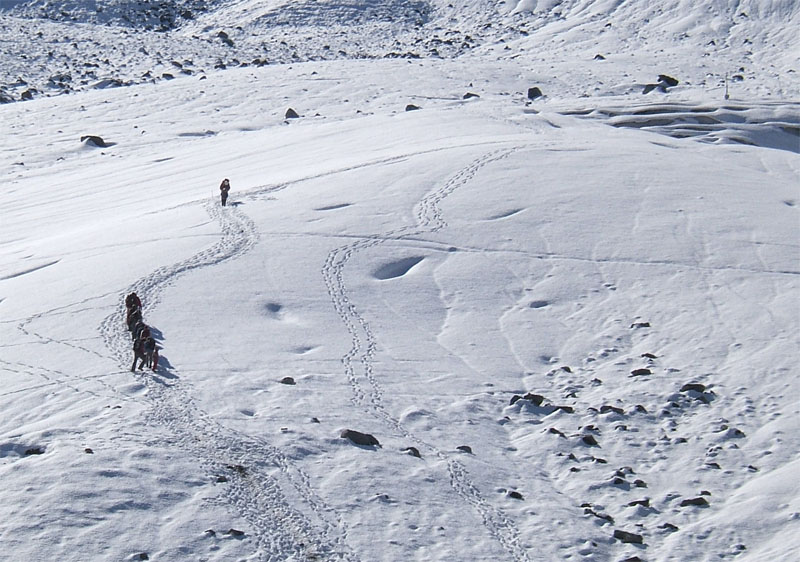 Il ghiacciaio del Morteratsch - Piz Bernina